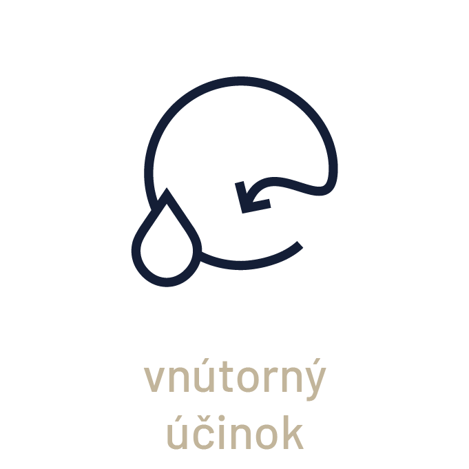 vnútorný-účinok_SK